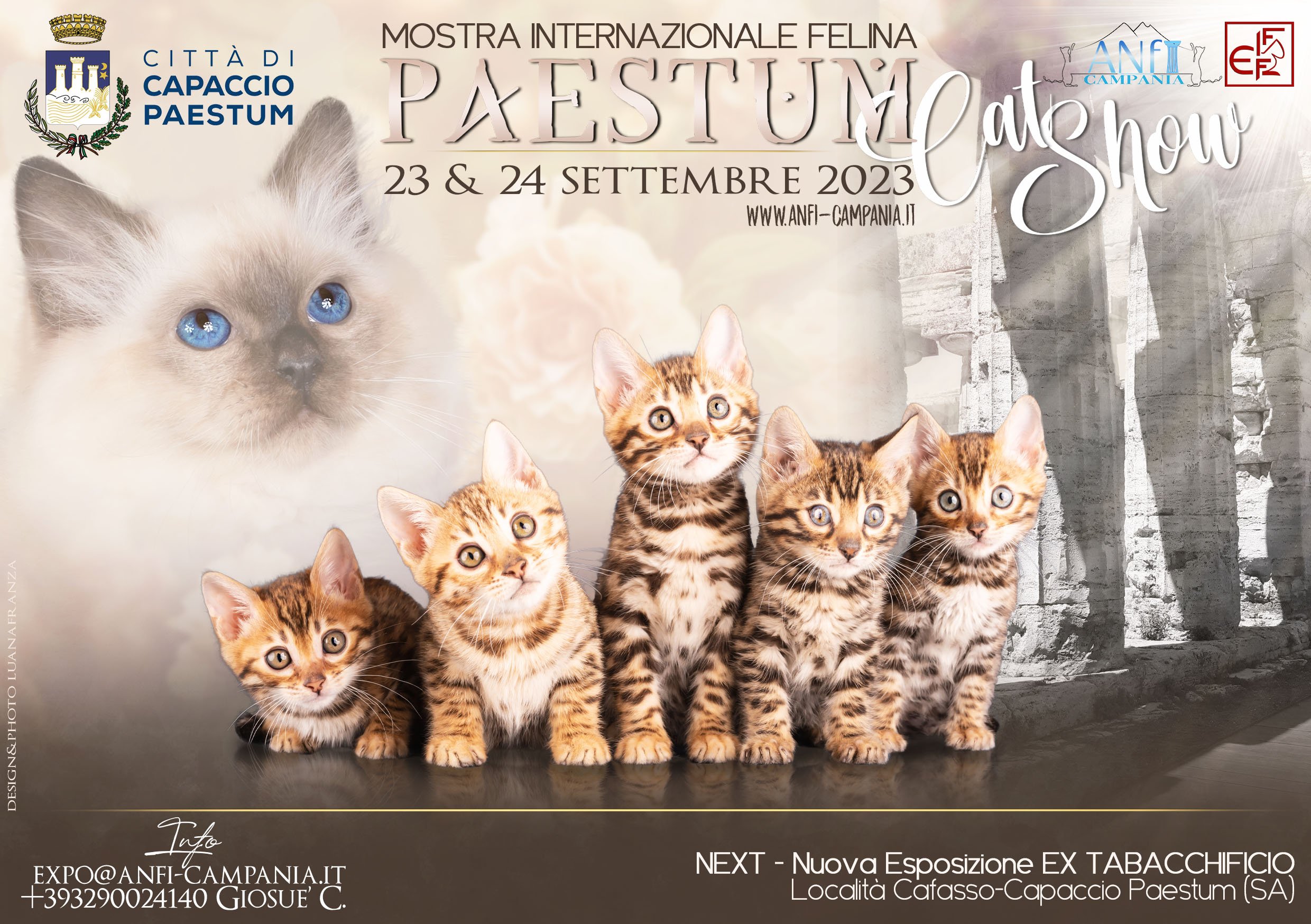 Acquista biglietti Paestum Cat Show - II Edizione domenica 24 set 2023 Ex  Tabacchificio SAIM Paestum