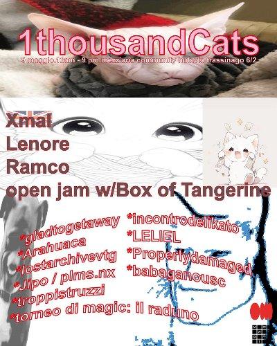 1ThousandCats