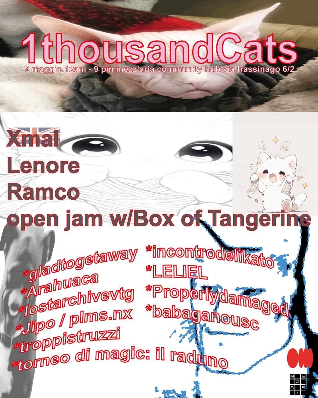 1ThousandCat